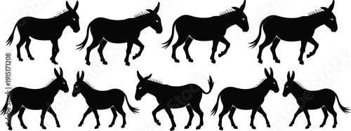 Collection of Donkey Silhouettes in Different Walking Poses Isolated on White Background for Farm Animal Design