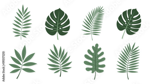 A fresh set of eight different green tropical leaves with a subtle shadow effect, including monstera and various palm fronds on white.