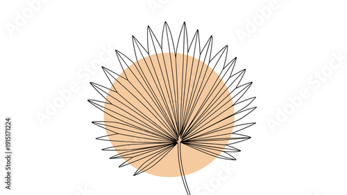 A chic and minimalist continuous line drawing of a fan palm leaf set against a simple, soft orange circular background for a modern aesthetic.