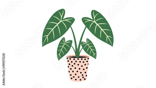 A cute and stylized illustration of an Alocasia plant with large green leaves in a charming pink pot decorated with black polka dots.