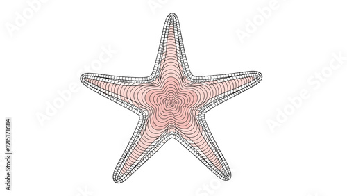 An intricate illustration of a starfish viewed from the top, featuring detailed concentric line art that creates a mesmerizing pattern.