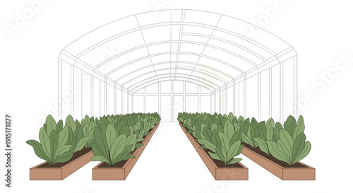 Interior view of a greenhouse structure with rows of green plants growing in raised cultivation beds, Generative AI.