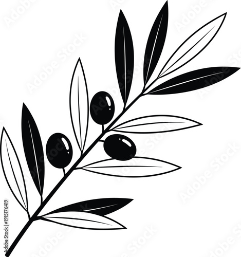 Olive branch with leaves and olives