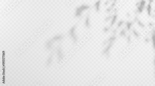 Soft blurred shadow overlay of abstract twig on transparent background