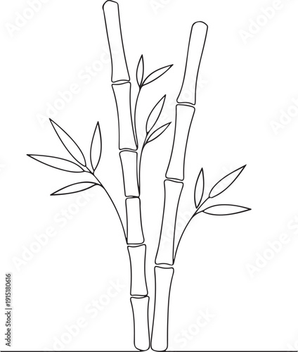 Minimalist Zen Bamboo Plant Outline Sketch
