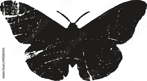 Black butterfly silhouette with textured wings isolated on white background