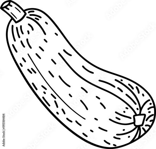 Simple black and white line drawing of a fresh zucchini vegetable with stem and textured skin
