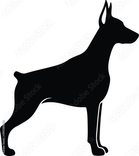 Doberman Silhouette