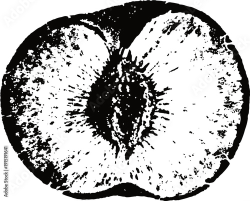 cut plum half detailed black and white fruit illustration showing seed and textured flesh inside