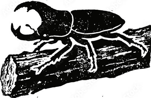 Stag beetle illustration on tree branch insect drawing with large mandibles, detailed texture and natural habitat