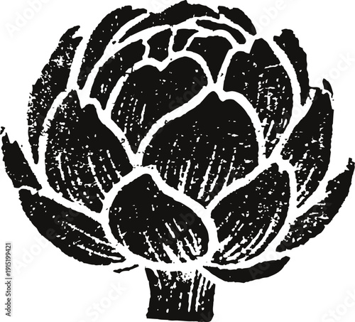 black and white artichoke illustration with textured shading and vintage design