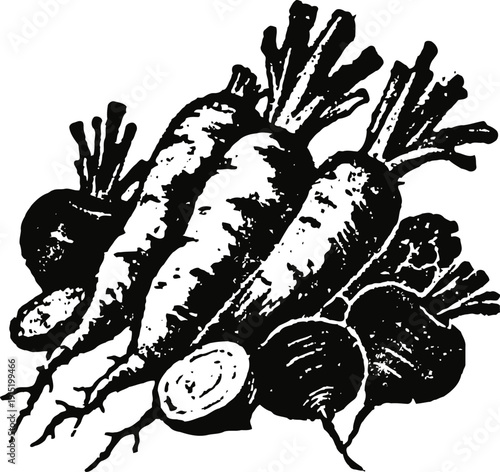 Black and white illustration of fresh root vegetables including carrots and beets with greens