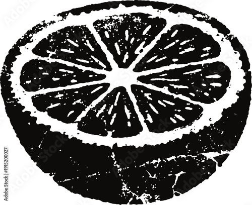 Black and white citrus fruit half illustration fresh orange slice with visible pulp and rind texture