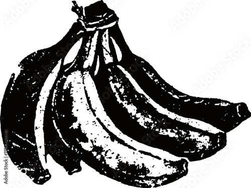 Bunch of bananas hand drawn vector black illustration of ripe tropical fruit