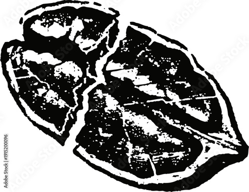 black and white illustration of dried citrus fruit slices with detailed texture and shading