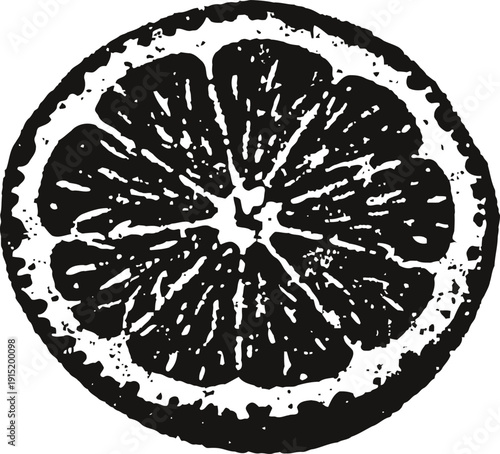 Black and white citrus fruit slice illustration with textured detail and vintage