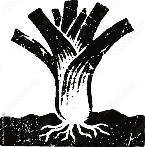 leek vegetable growing in soil with visible roots detailed black silhouette illustration