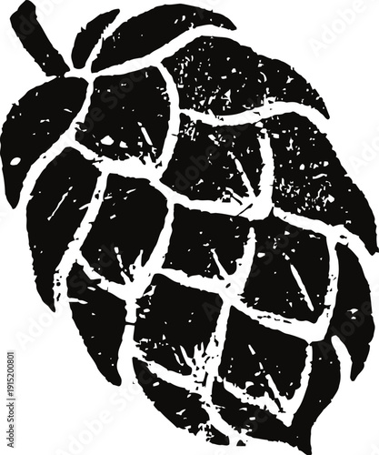 Vintage hop cone illustration retro textured black graphic of hop flower for brewing and beer design