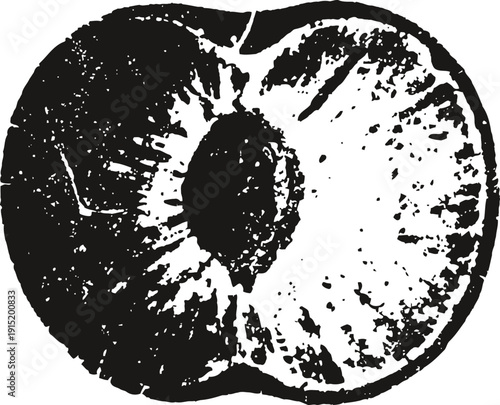 Halved plum fruit illustration with visible seed and textured flesh detail in black and white
