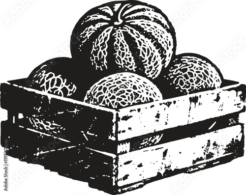 Crate of fresh cantaloupe melons stacked in a wooden box with a rustic vintage