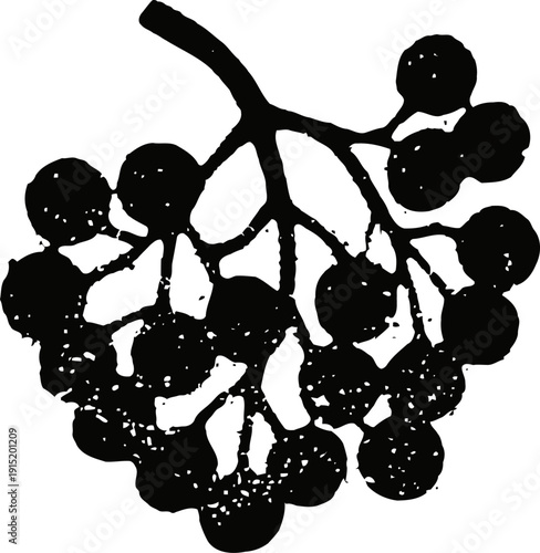 Black elderberry silhouette cluster with stems and berries in simple graphic