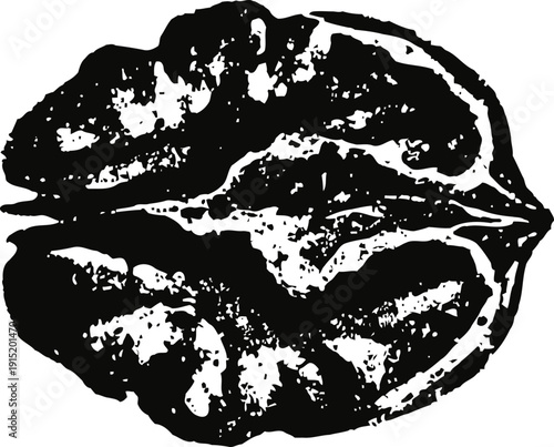 Black walnut kernel close up healthy nut food ingredient, natural organic superfood for cooking and snacking