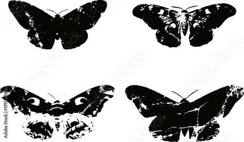 Silhouettes of four different butterfly species isolated on white background, insect wings spread open