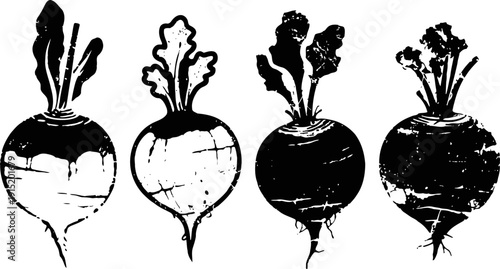 Set of four black and white beetroot silhouettes with leaves fresh root vegetables illustration