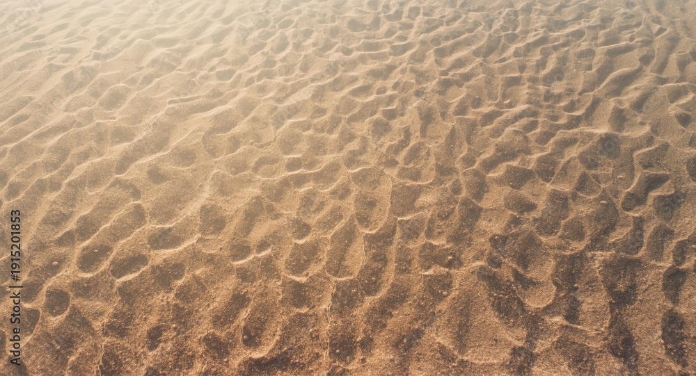 Obraz premium Aerial view of natural sand grain texture with soft lighting and copy space