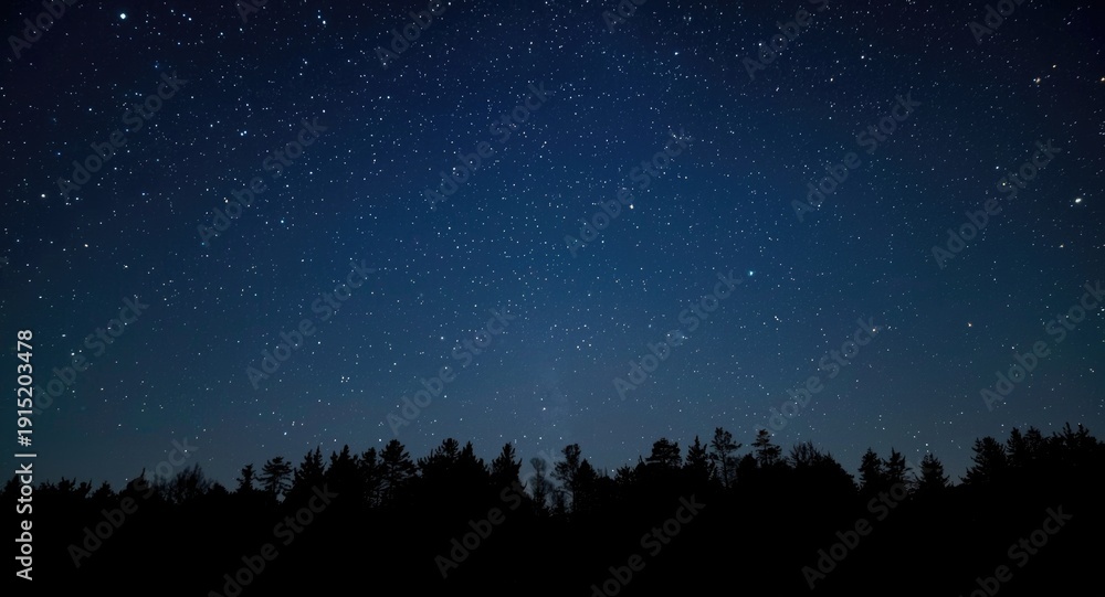 Fototapeta premium Starry night sky glowing above a quiet and shadowed forest scene