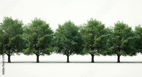 Expertly masked row of green trees and pine trees on see through background for compositional use