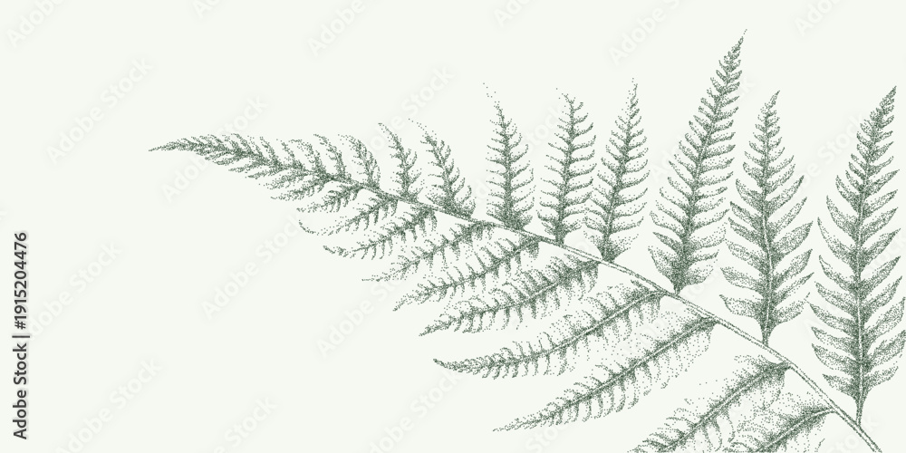 Naklejka premium Drawn graphic fern leaf with granular grain texture, scattered dust speckles and faint stains on aged paper with worn vintage imperfections.