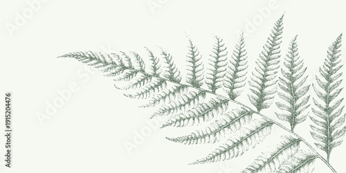 Drawn graphic fern leaf with granular grain texture, scattered dust speckles and faint stains on aged paper with worn vintage imperfections.