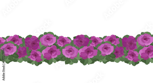 Ornamental Chinese Flowering Purple Cabbage garland