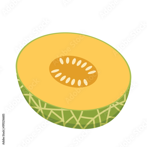 Melon vector. melon on white background. wallpaper. logo design. 