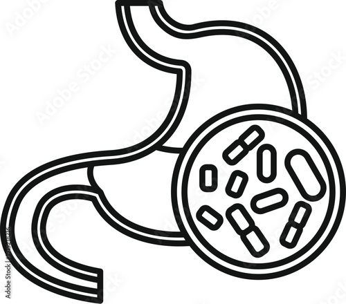 Human stomach and small intestine showing healthy gut bacteria in an abstract line icon style