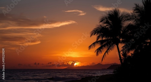 Quiet tropical sunset with vivid orange atmosphere and dark palm outlines