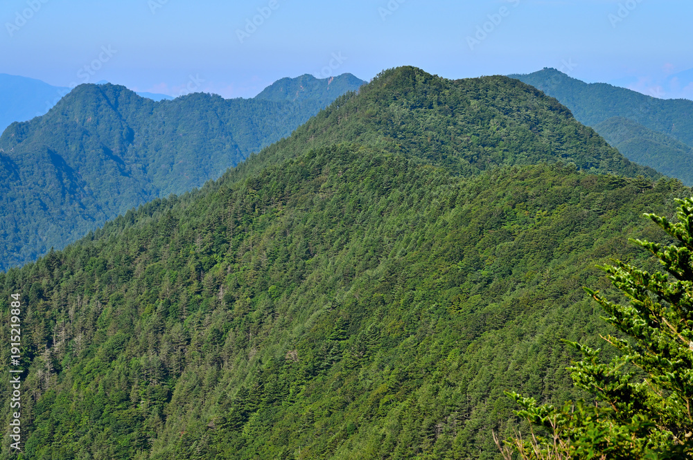 Obraz premium 御坂山地の破風山より眺める夏の中藤山 