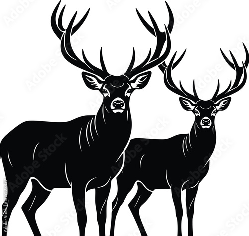 Black Vector Silhouettes of Two Majestic Male Deer Stags with Large Antlers Standing Isolated on White for Wildlife Nature and Hunting Design Projects