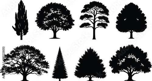Set of Black Vector Tree Silhouettes Including Oak Pine Spruce and Deciduous Species Isolated on White Background for Nature Landscape and Environmental Graphic Design