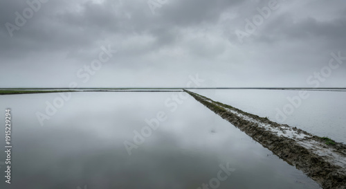 flooded fields with levee under stormy sky