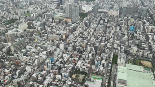 View from the Tokyo Tower, skyline, houses and buildings, Tokyo, 2025, temple