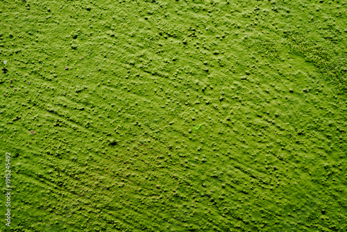 green wall texture