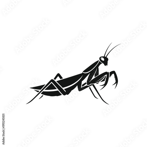 Illustration of a praying mantis in a dynamic pose, showcasing its predatory stance and insect features in a minimalist black and white design