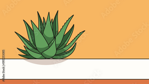 Green aloe vera plant on orange background.