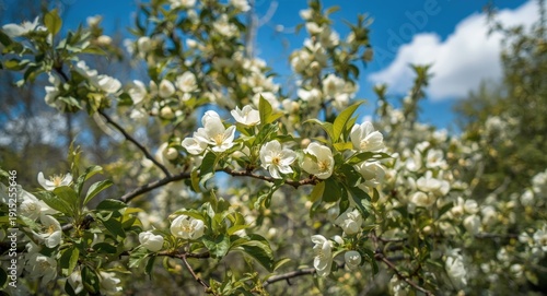 Garden full of spring life featuring a blooming pear tree