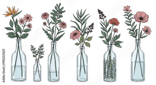 Collection of various hand-drawn wildflowers and botanical stems arranged in clear glass bottles, serving as minimalist rustic vases.