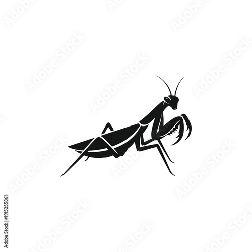 A praying mantis illustration in a defensive stance, viewed from the side, showcasing its spiked forelegs and antennae.