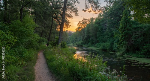 Peaceful forest path alongside a flowing river with dense greenery under warm evening light