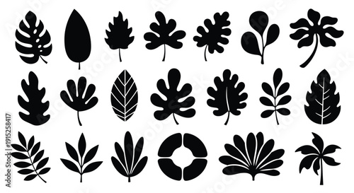 A large collection of black silhouettes of various tropical leaves, including monstera, palm, and other exotic jungle foliage shapes.